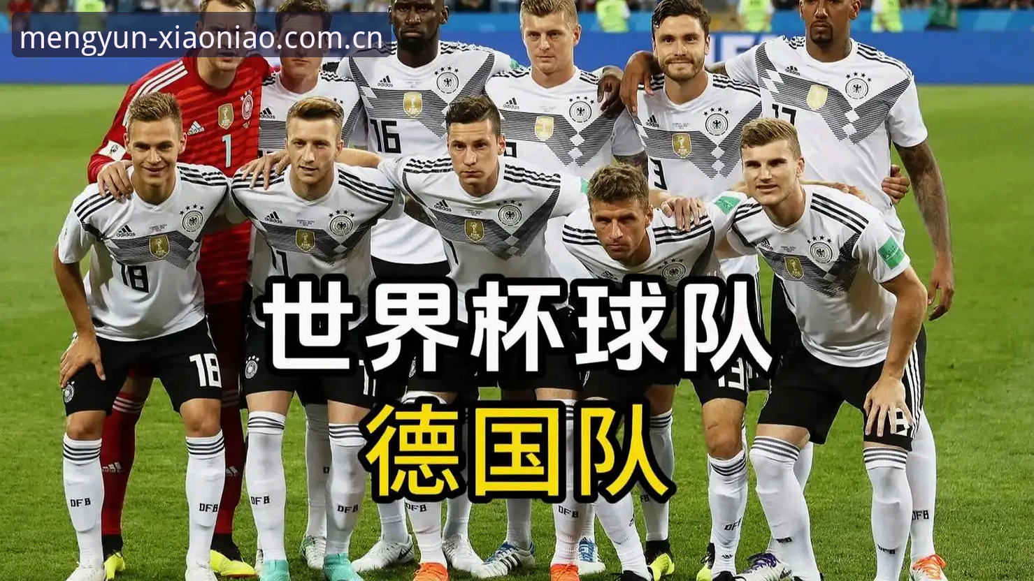 小鸟云端登录方法 德国队世界杯26人名单深度详解:诺伊尔回归背后的数据逻辑